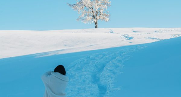 vladimir-wang-gE8NjLE4cwE-unsplash